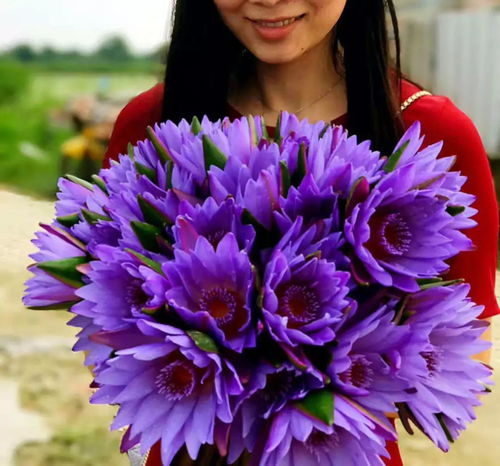 第一步：选好花，hen重要哦！