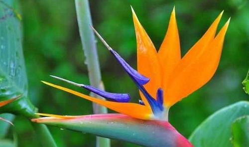 养护方法的差异