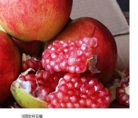 打药的时间表