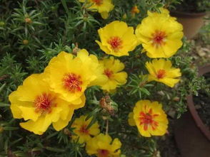 春天是个好时机