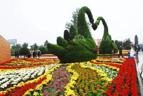 地点揭晓，萧山花木城等你来