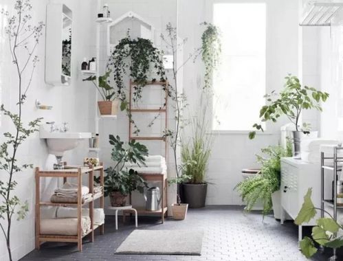 阳台小技巧， 打造温室