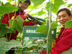 “智慧耕种，勤劳收获