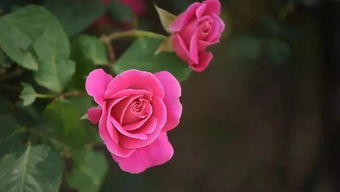 细波：细腻如丝，柔情似水