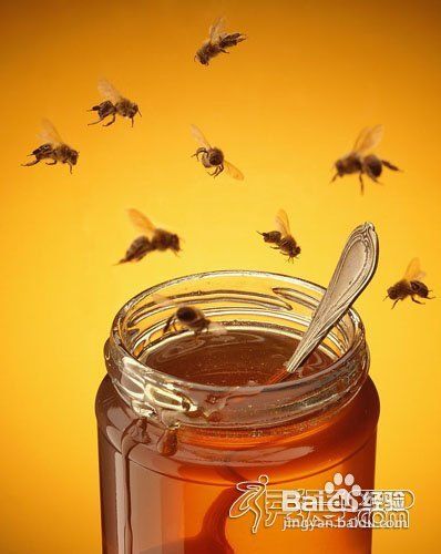 揭秘花卉界的秘密：高效制作薏米浸汁的秘诀！