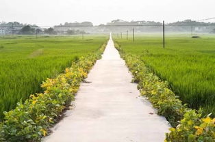 什么是咸阳旱塬区？