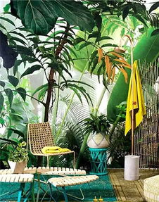 一株凤梨，一抹阳光