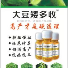 合理使用农药降低大豆药害