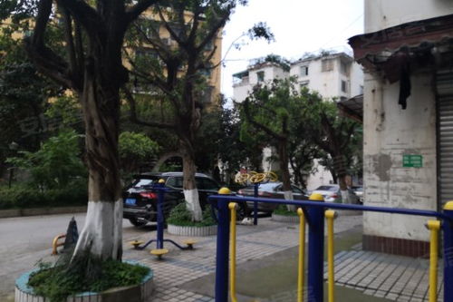 环境优美，空气清新