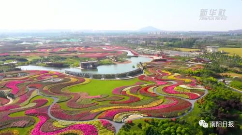 南阳月季国家林木种质资源库项目启动， 特色种质资源备受关注