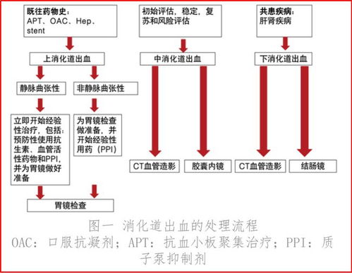 产房全流程指南，养猪人如何操作？