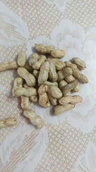 嫩花生常温鲜贮法，一种保持嫩花生新鲜度的传统保存方法