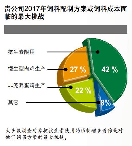 优化饲料配比、利用本地资源、提高饲料转化率、推广精准饲喂、加强牛群健康管理、实施轮牧制度、探索新型饲料来源
