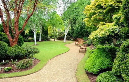 二、绿化施工技术要求