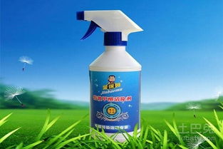 除甲醛，哪个牌子Zui靠谱？