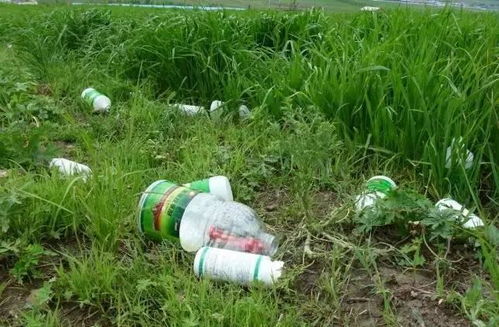 农药，这个大家伙，是凶险废物吗？