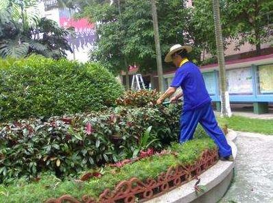 六、 ：园林之美，重庆风情