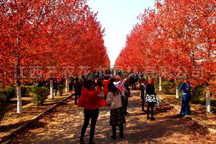 价格大揭秘，你准备好了吗？