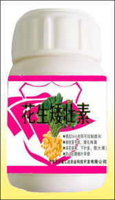 种衣剂是什么？