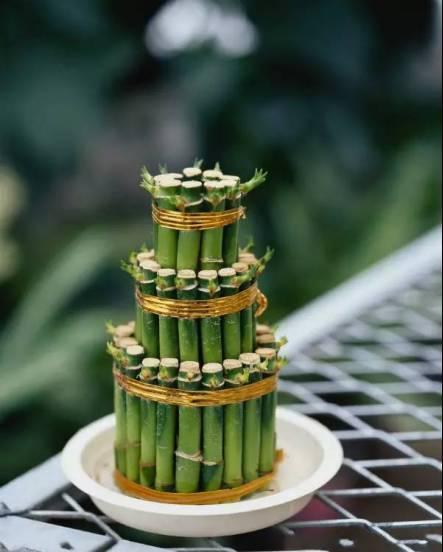 富贵竹栽培秘诀：1-12-11，打造理想绿植环境！