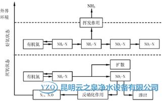 生物硝化同深度去除COD：一箭双雕