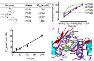 农药琥珀酸脱氢酶抑制剂的作用机理揭秘