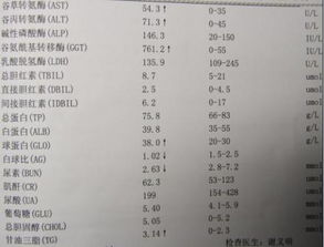 饲料密度测不准怎么办？老手教你三招省万元检测法，有哪位高手能详细讲解一下？