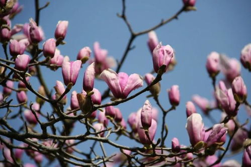 土壤管理，排水要讲究