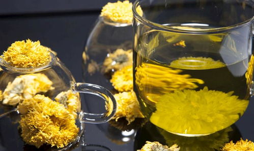 经常喝菊花茶好吗？它对眼睛和身体有哪些益处