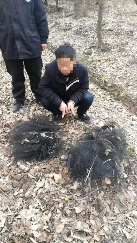 松香制毒卤肉事件：三男子涉嫌制毒被刑拘