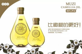 山茶油：外伤急救的天然良药