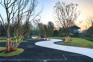 景观设计公司10强中的生态景观设计优势