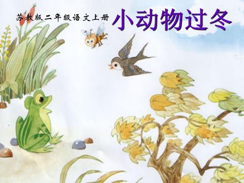 抗寒耐热花卉，大自然的奇迹