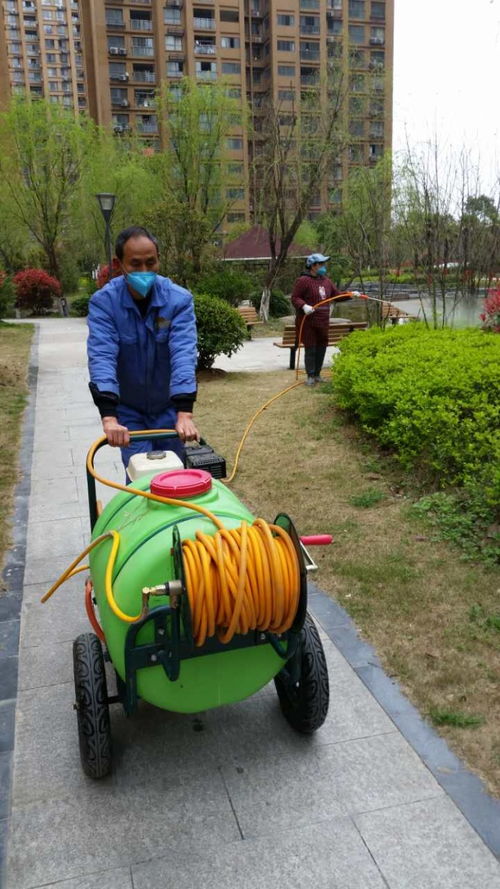 3. 对宠物的危害