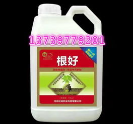 生根一号混丙环唑使用后会出现烧根现象吗？如何避免药害，减少3000元损失？