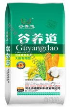 菌种租赁：省下大笔投资