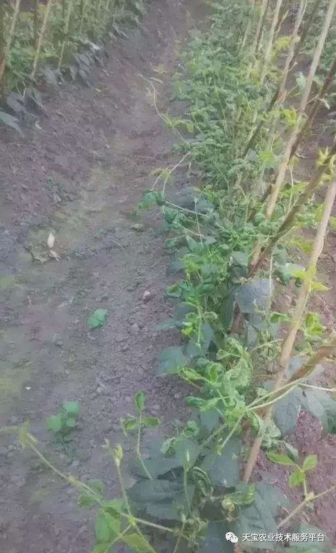 选择合适的天气条件