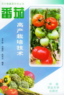 培育高产西红柿秘诀