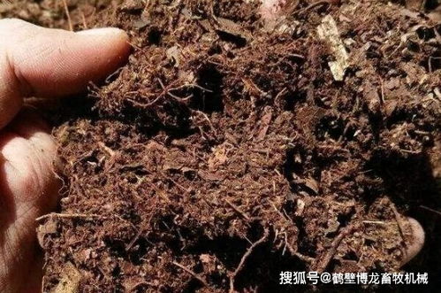 土壤杀菌消毒，哪种方法既高效又环保