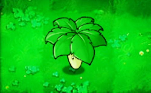 花草树木的智慧——自然界的秘密