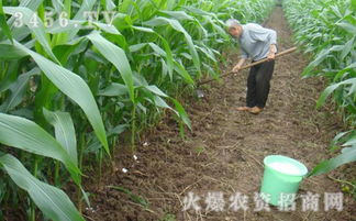在使用乙草胺时要选择合适的药剂，并按照使用说明进行使用。一边，要根据不同的作物和土壤条件选择合适的药剂，避免对作物造成过大的影响。