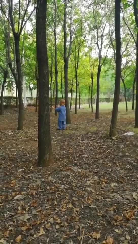 树林里阳光斑驳，适合散步吗