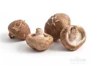 食品平安的重要性