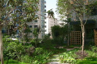 绿化工程公司的新产品探秘