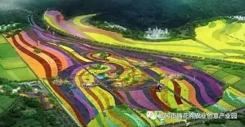海南爆款花海种植推荐