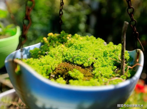 邻居张阿姨的惨痛教训