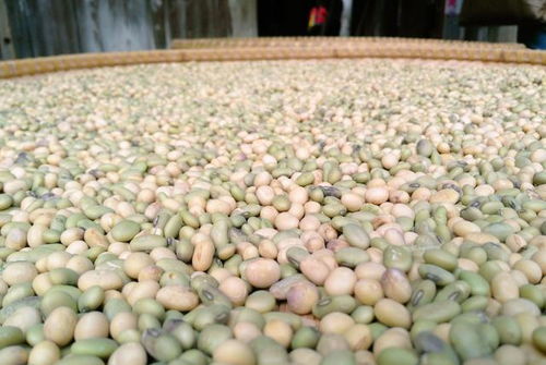 天然的就是健康的吗？