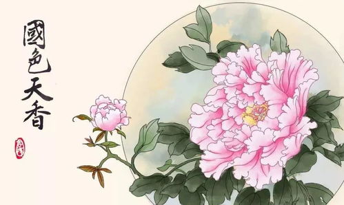 国花牡丹，凭什么称王