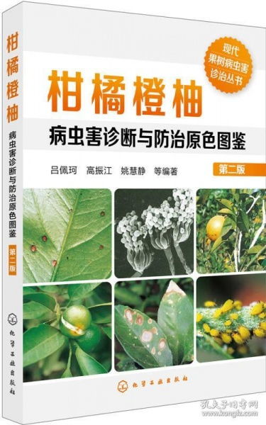 试验后来啊