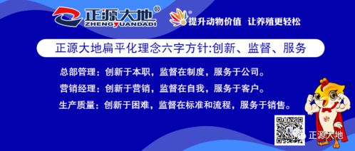 秋季鸡群呼吸道疾病防控要点：加强通风换气